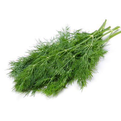 Dill - Per bunch - Lone Star Herbs