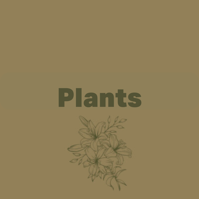 Plants