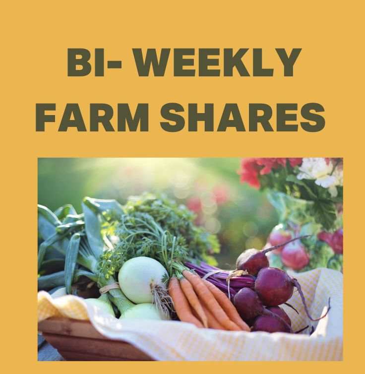 Co-Op Farm Share - Bi-weekly Preorder
