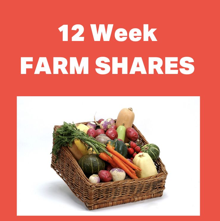 12 Weeks of Farm Shares