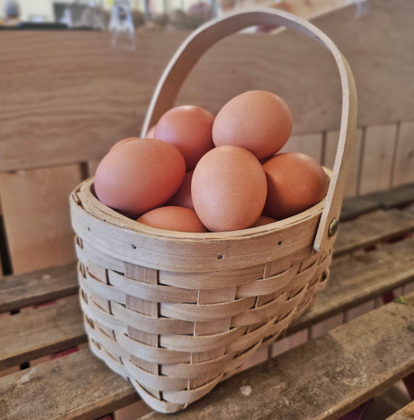 Chicken Eggs - Local