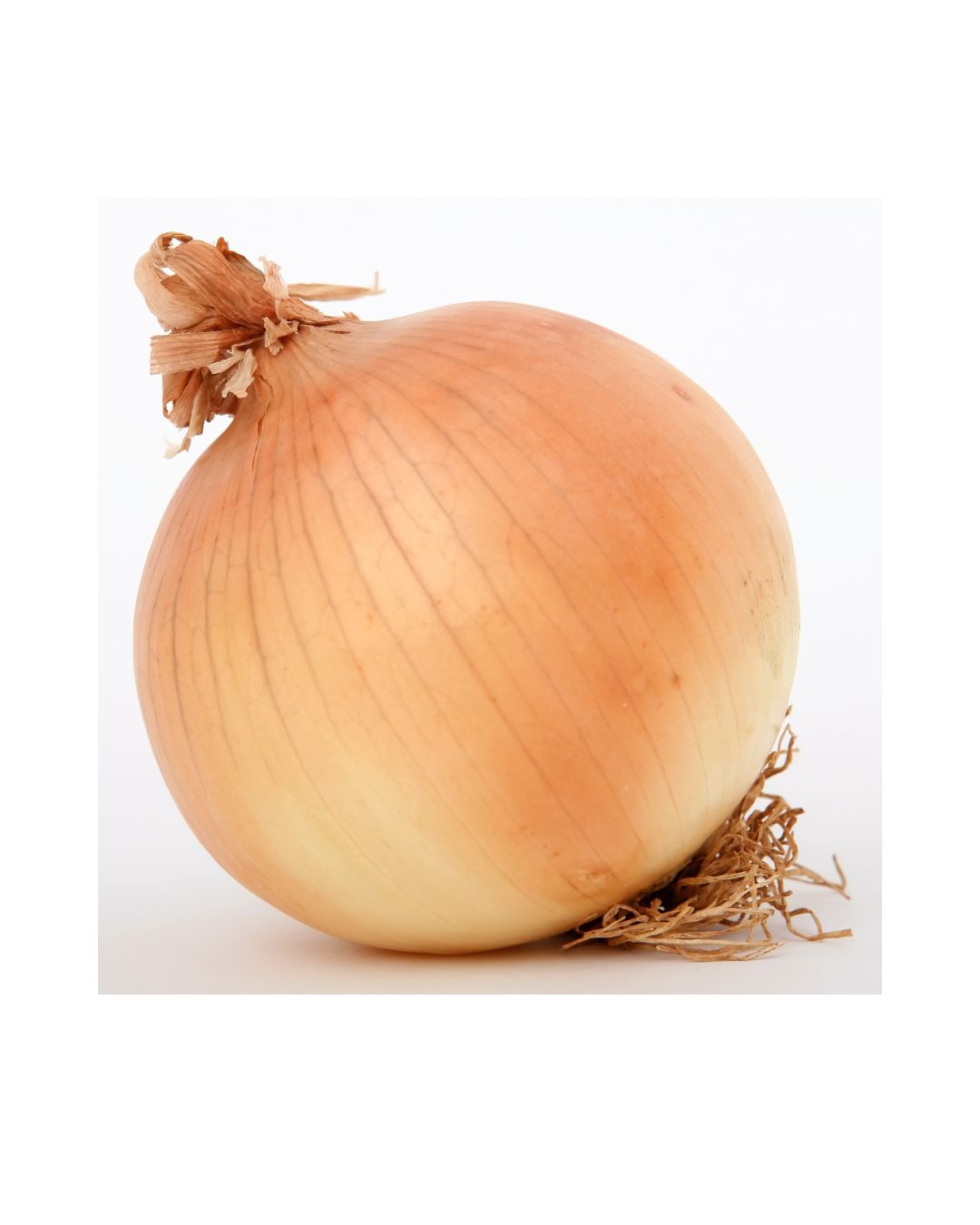 Onions - TX Organic - Per lb, Color: Yellow Onion