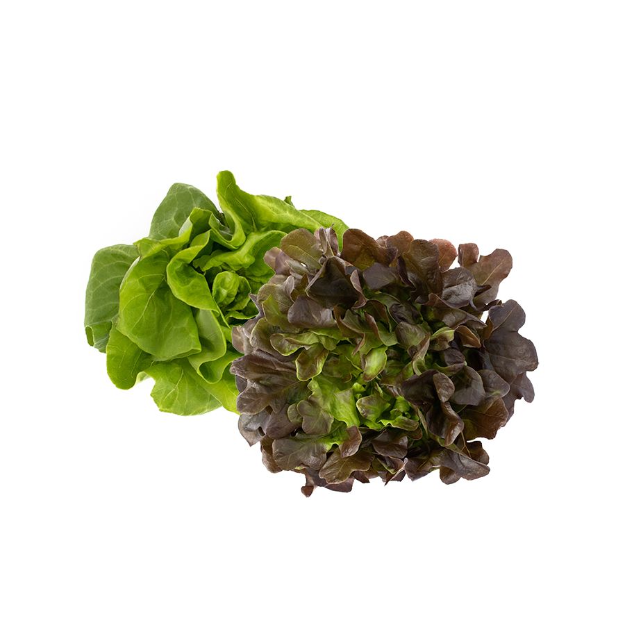 Lettuce PER EACH, Type: Green Leaf