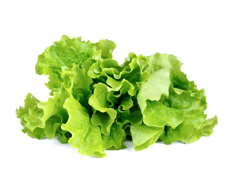 Lettuce PER EACH