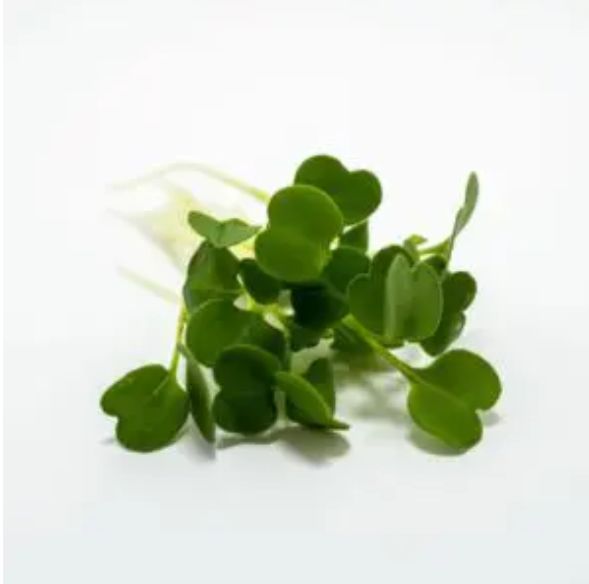 Microgreens Zero Point Organics 2 oz, Type: Arugula