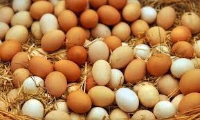 Chicken Eggs Local