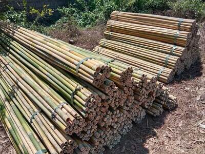Bamboo For Fence