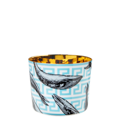 Champagnerbecher THE WHALES