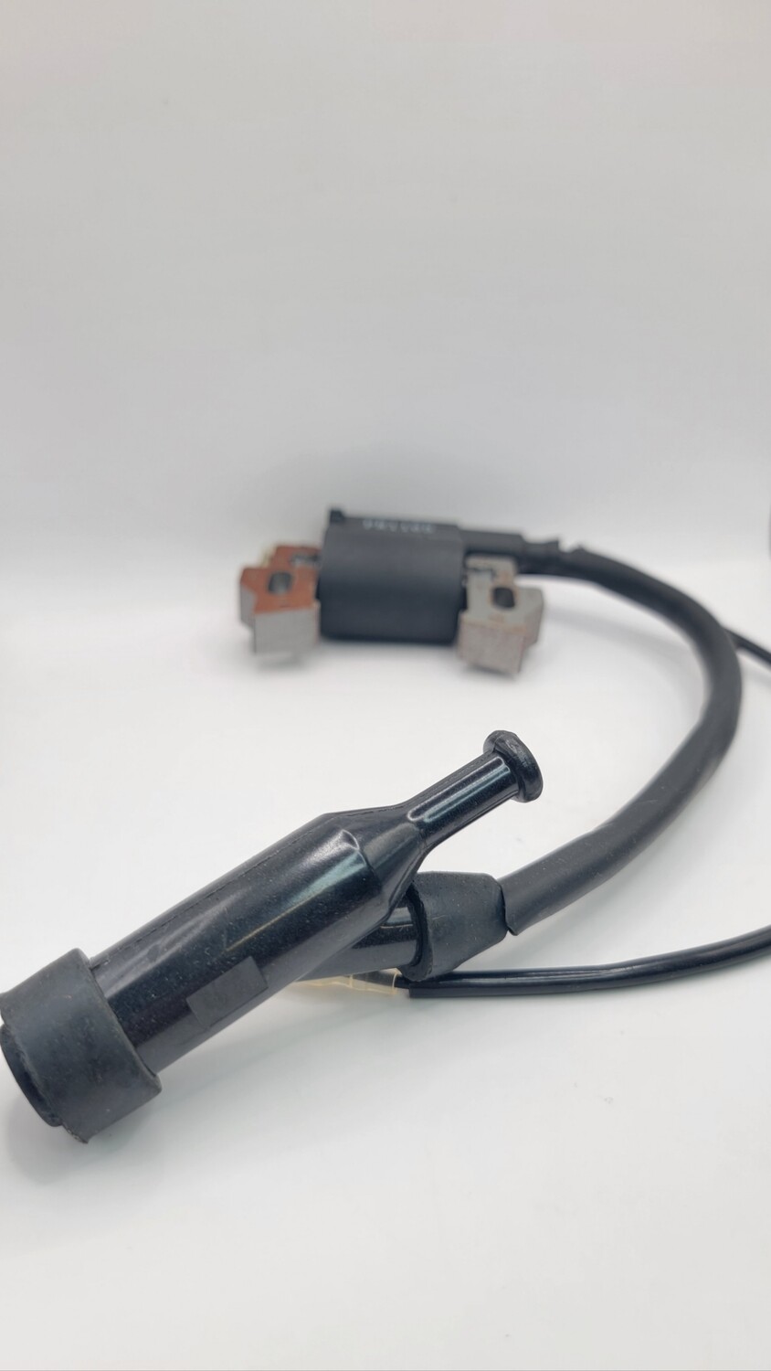 Ignition Coil Assy GX340-390