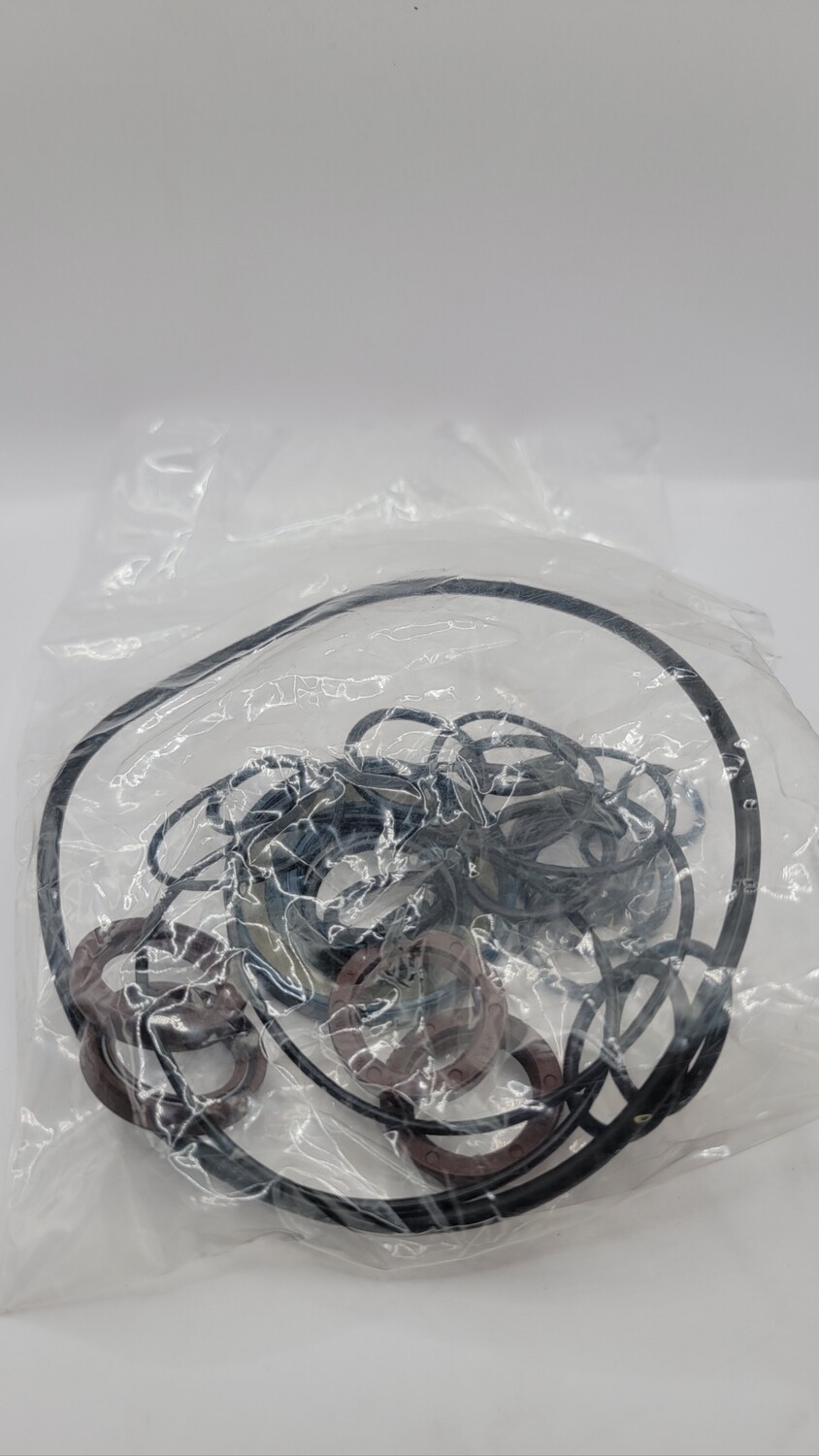 Oil Seal Kit RW Series