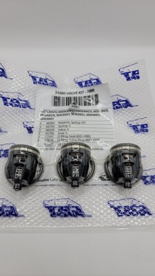 CAT Valve Kit 30821- 310,340,350 (Need 2)