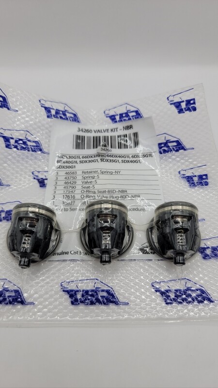 CAT Valve Kit 30821- 310,340,350 (Need 2)