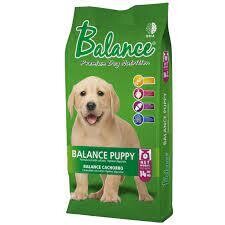 Balance Cachorro