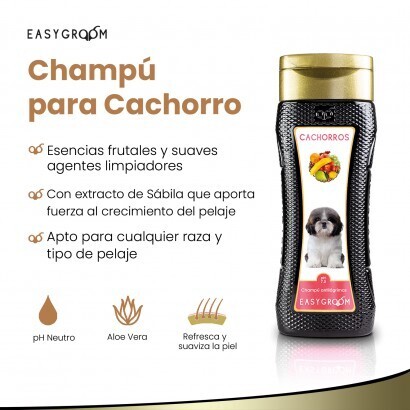 Easy groom clearance shampoo