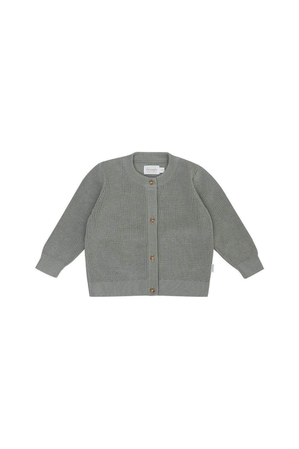 Chunky Knit Cardigan soft green