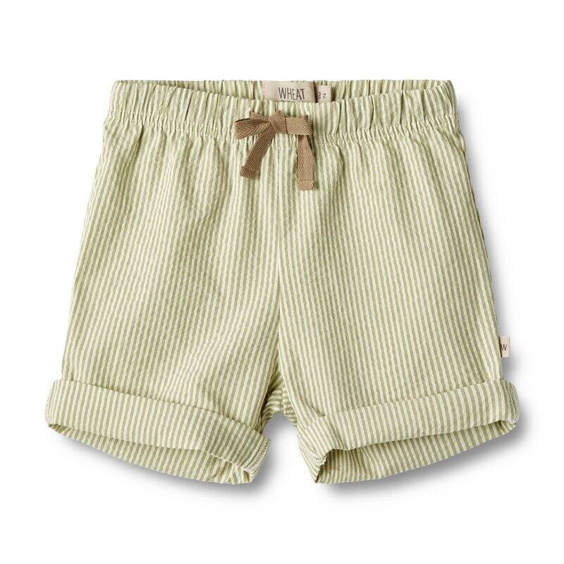 Shorts Milton  - green stripe