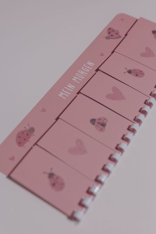 SALE Morgen & Abendroutine Set Marienkäfer Glitzer
