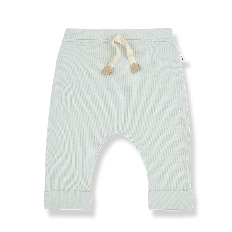 Hose Vasco - pale-aqua