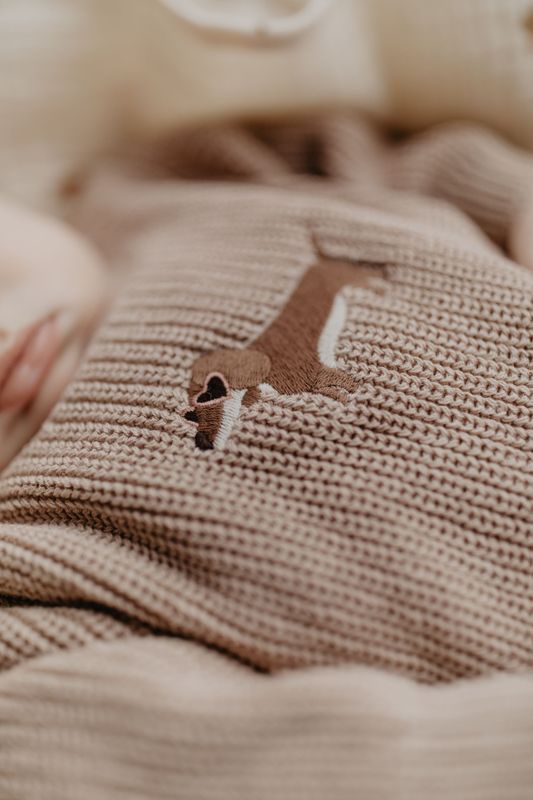 LEEVJE Strickpullover Baby - dog