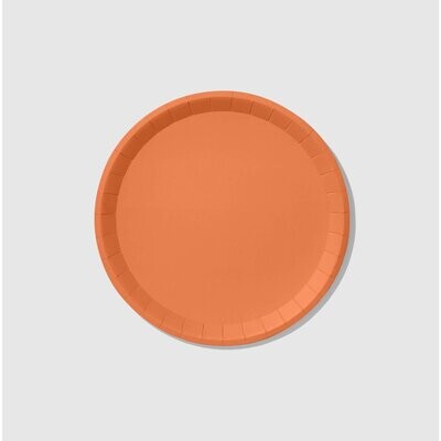 Tropical Coral Small Party Plate