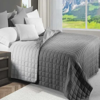 Copriletto Trapuntato 100gr. Double Face Daunex art. Bicolor