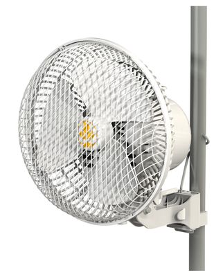Secret Jardin Monkey Fan Oscillating 17cm 20W Ball Bearing