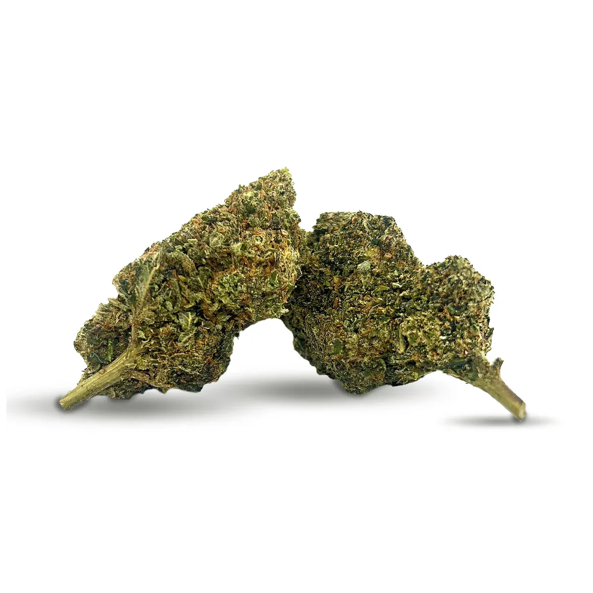 Jamaican Dream - 10-OH+ | 45% | pro Gramm