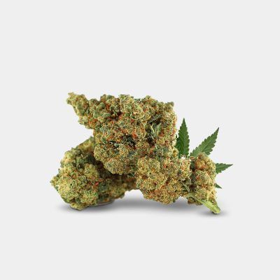 Weedy Wonka - 10-OH+ | 30% | pro Gramm