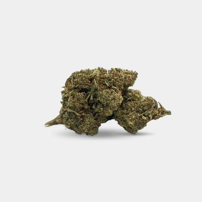 Mimosa - 10-OH+ | 30% | pro Gramm