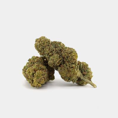 Blue Mango 10-OH+ | 45% | pro Gramm