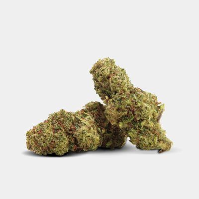 Area 51 - C9 | 40% | pro Gramm