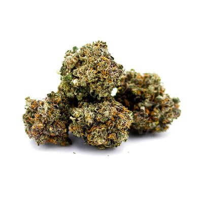 Strawberry Haze - 10-OH+ | 40% | pro Gramm