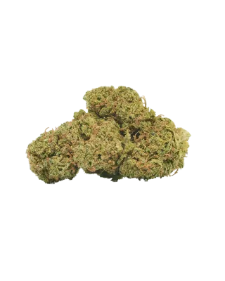 Alien Haze CBD | 9-12% | pro Gramm Alien Haze CBD | 9-12% | pro Gramm