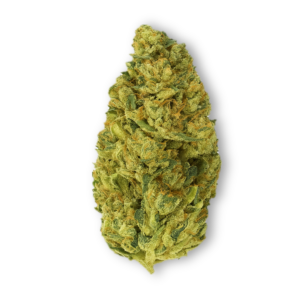 Amnesia &quot;Frau Knolle&quot; 40% 10-OH+ pro Gramm