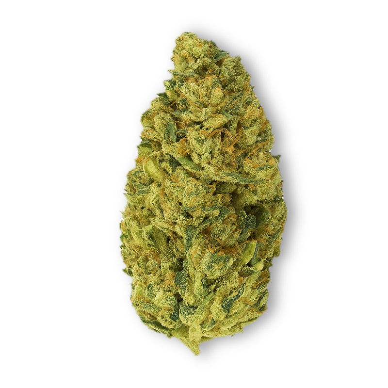 Amnesia &quot;Frau Knolle&quot; 40% 10-OH+ pro Gramm