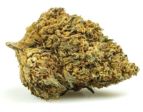 Gelato &quot;Frau Knolle&quot; CBD 16% pro Gramm