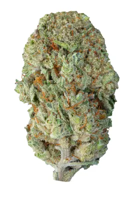 Mango Kush "Frau Knolle" CBD 16% pro Gramm