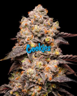 Dried Fruit - Cookies - 3 Seeds