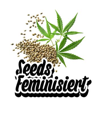 Seeds Feminisiert