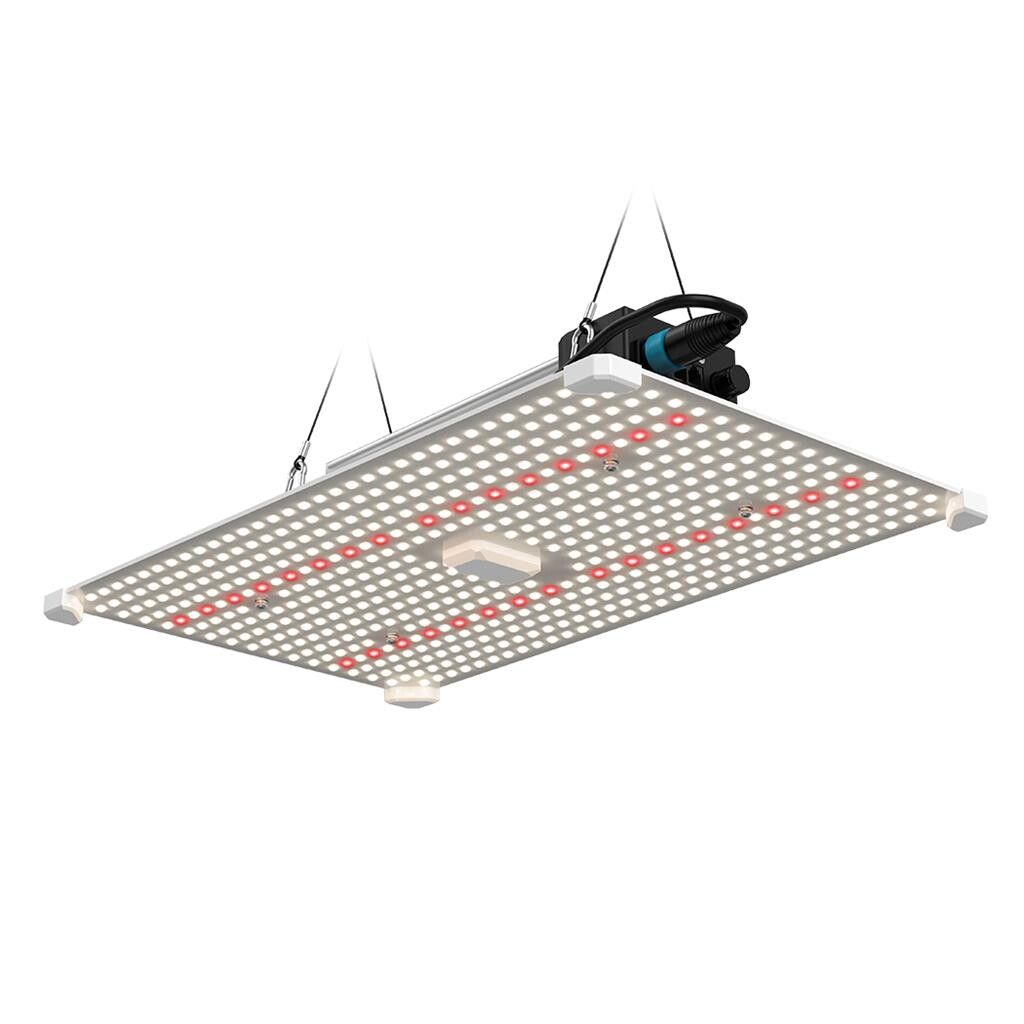 LUMii Black Blade 200 W LED