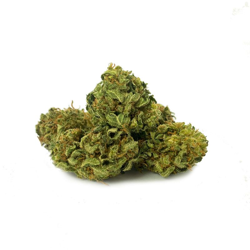 Mimos &quot;Frau Knolle&quot; CBD 14% pro Gramm