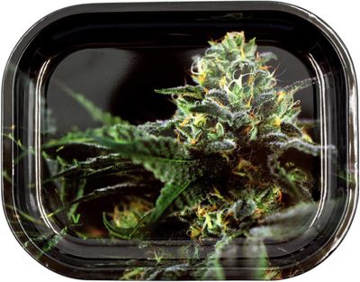 V SYNDICATE - OG Kush Tray