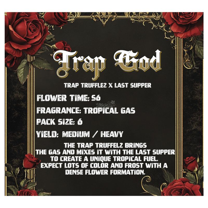 Solfire Gardens Trap God Fem 3St.
