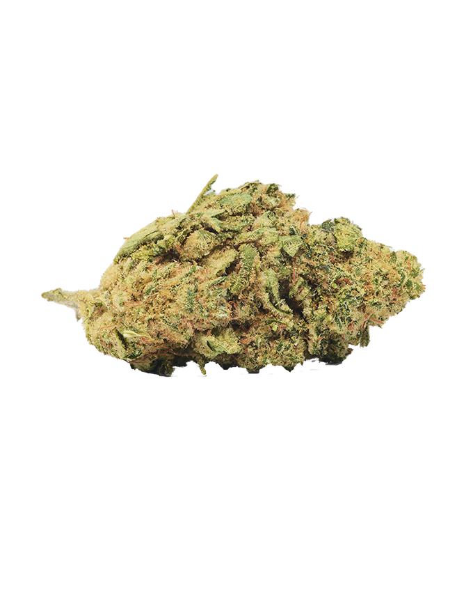 Girl Scout Cookies &#39;&#39;Frau Knolle&#39;&#39; CBD pro Gramm