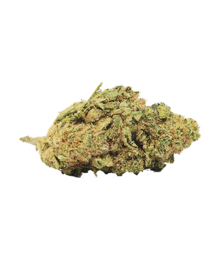 Girl Scout Cookies ''Frau Knolle'' CBD pro Gramm