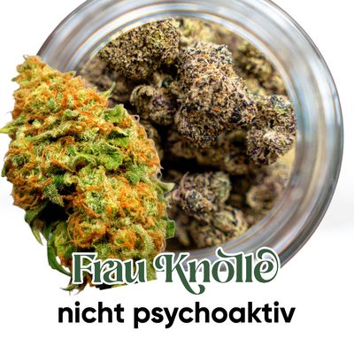 Blüten &amp; Hasch CBD