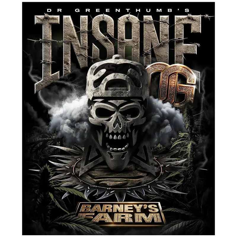 Barney&#39;s Farm Insane OG Fem 3St.
