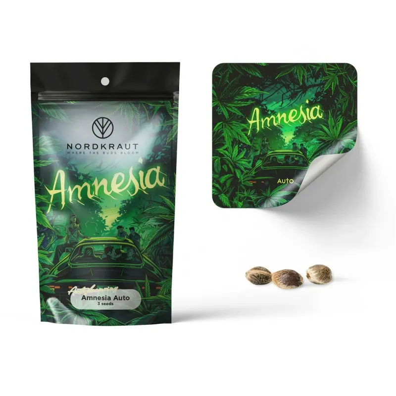 Nordkraut - Amnesia Auto Seeds