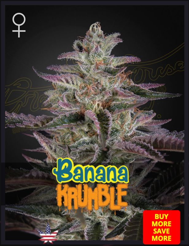 Banana Krumble - Green House Seed - 3 Seeds