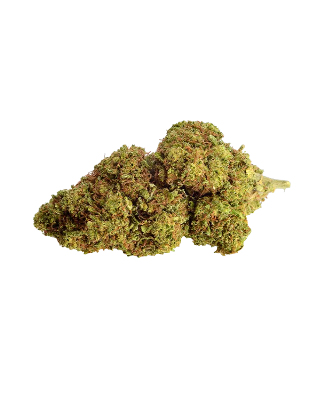 Harlequin CBD | 9% | pro Gramm